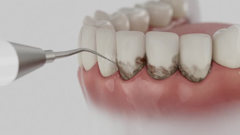 Reliable Dental contractor in Greensboro, NC by Dentist Open Now